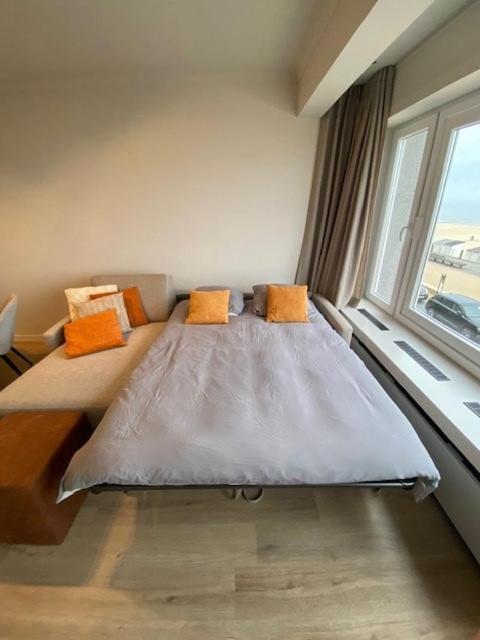 Studio Saint-Tropez 奥斯滕德 外观 照片